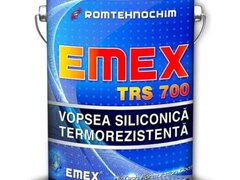 Vopsea Siliconica Termorezistenta ?Emex TRS 700? - Argintiu - Bid. 4 Kg